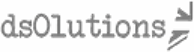 Denim Solutions logo
